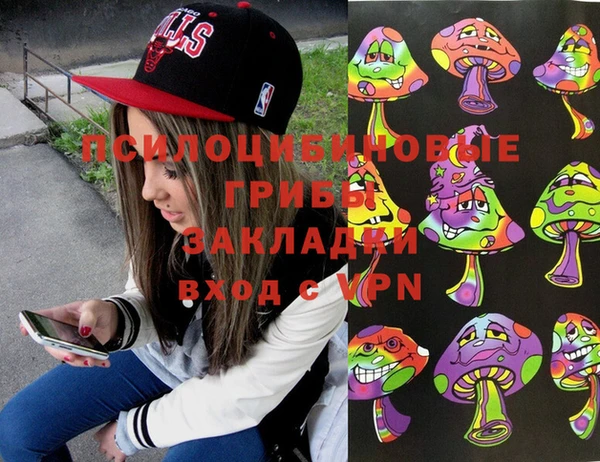 шишки Абинск
