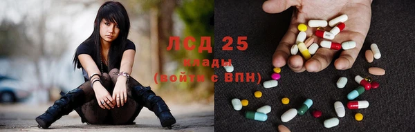 шишки Абинск