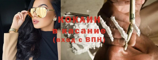 шишки Абинск