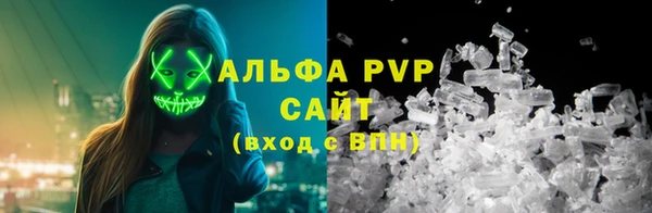 крисы Абаза