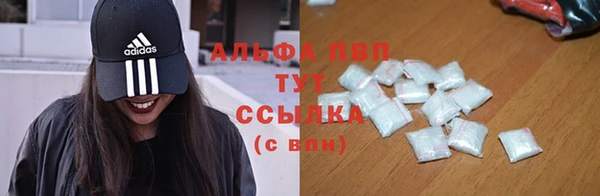 крисы Абаза