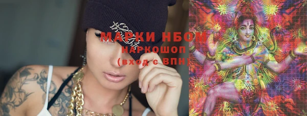 шишки Абинск