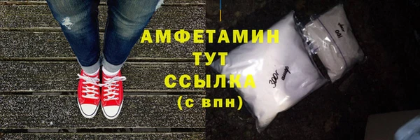 крисы Абаза